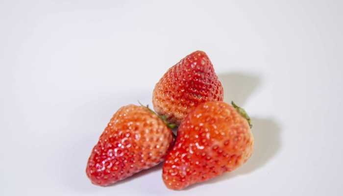 草莓为什么冬天上市