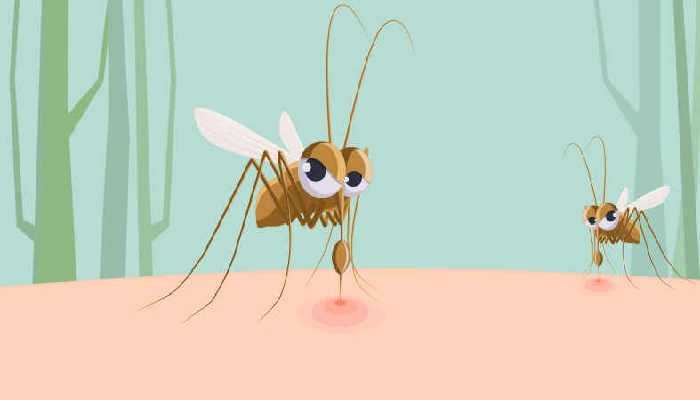 刚三月就有蚊子？专家解释 三月出现蚊子我们该怎么处理