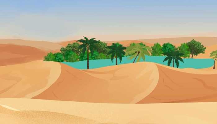 沙漠防风固沙的植物 我国沙漠化治理的有效措施