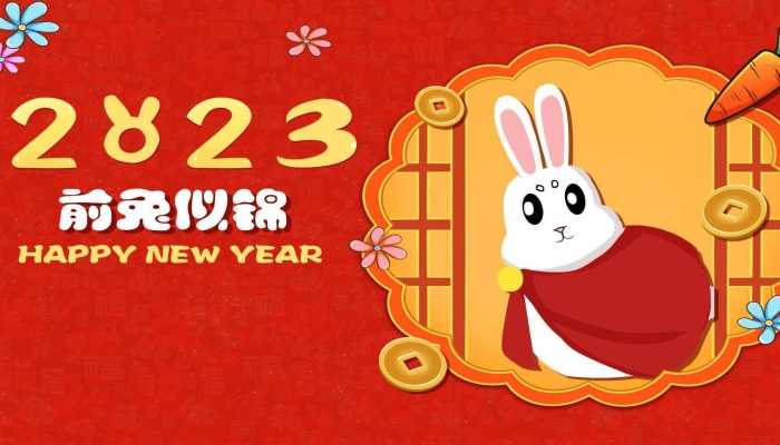 杭州街头出现一只4米高的巨大落叶兔 是一份新年祝福