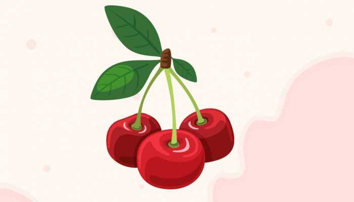 车厘子和樱桃是同一种水果吗