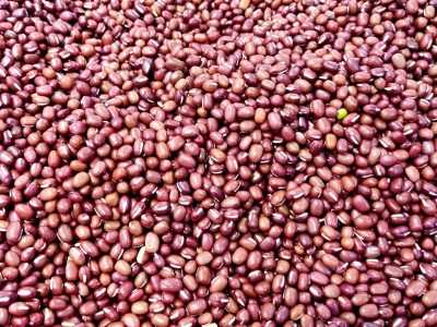 红小豆是凉性还是热性  红小豆的功效与作用 营养价值