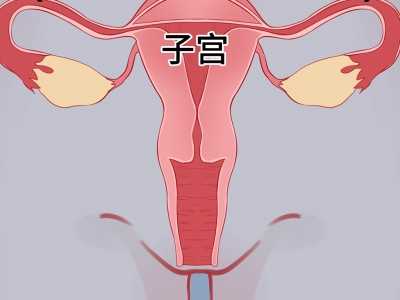 关于输卵管复通术的那些事儿，你都知道吗？