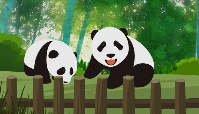 网友突击式检查世界各地大熊猫 为何近来大家对大熊猫热度这么高