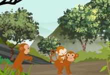 ​女子给猴子喂食被掌掴景区回应说了什么 女子给猴子喂食被掌掴景区回应具体内容