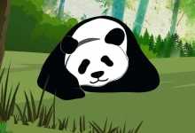 官方证实大熊猫宝新已去世 死因正在调查