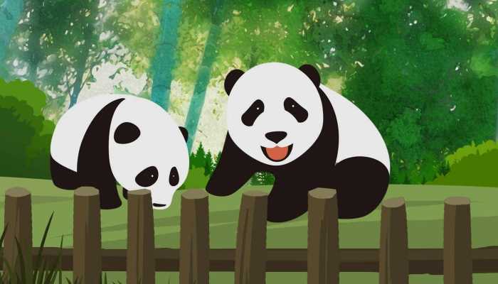 动物园回应大熊猫擦屁股出圈：可能是它屁股太痒了