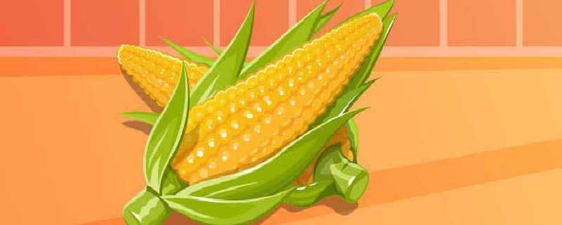 玉米几月份成熟 玉米成熟的季节是几月
