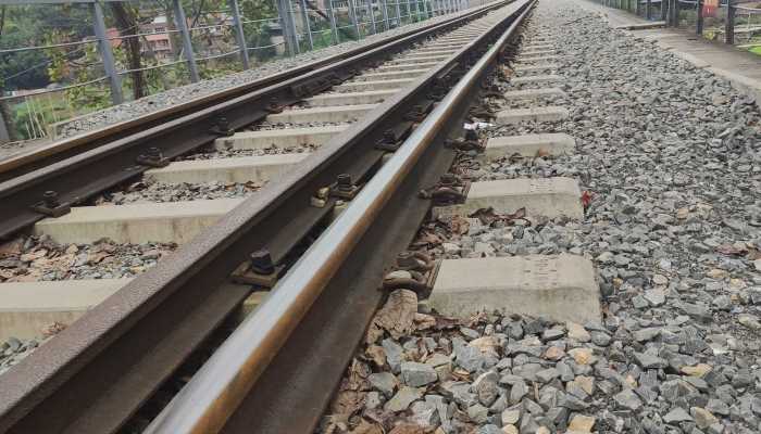 一列车在辽宁铁岭与两头野猪相撞导致晚点 原因系野猪误闯火车轨道