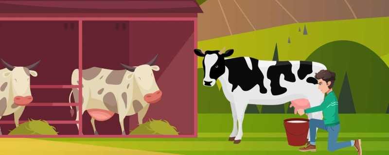 属牛的今年多大2024 通过农历年份来计算