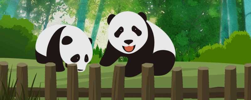 ​白色大熊猫影像首公开是什么情况 白色大熊猫影像首公开为什么是白色的