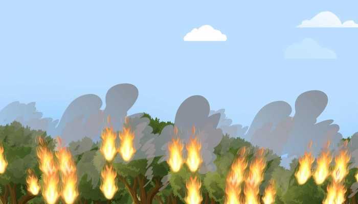 吉林发布森林火险黄色预警：长白山保护区火险气象等级为3级