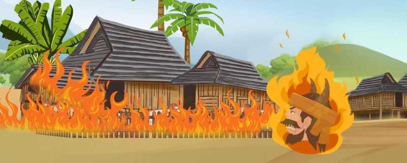 林火对光和温度的影响 林火发生的条件