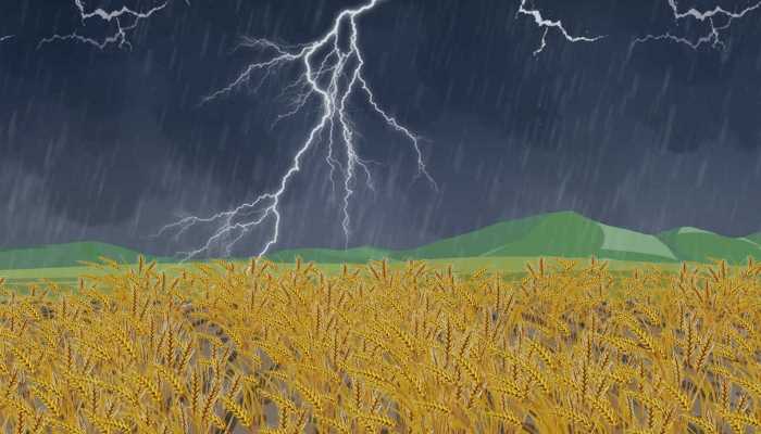 河南热成可南了利于小麦抢收抢晒 后天南部降雨强对流来袭