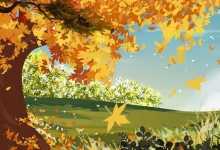 关于秋天的唯美文案 描写秋天的惊艳文案