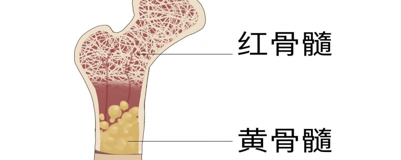 占位性脊髓病變是怎么引起的}