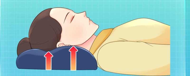 龙眼核枕头功效与作用是什么