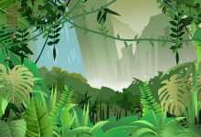 海南呀诺达雨林文化旅游区游玩指南 海南呀诺达雨林文化旅游区游玩攻略