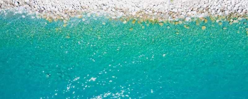 青海湖是淡水湖还是咸水湖 青海湖是我国最大的什么湖