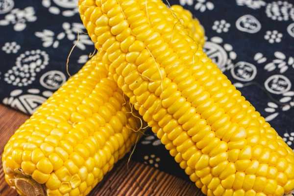 鲜玉米的食用方式和注意事项