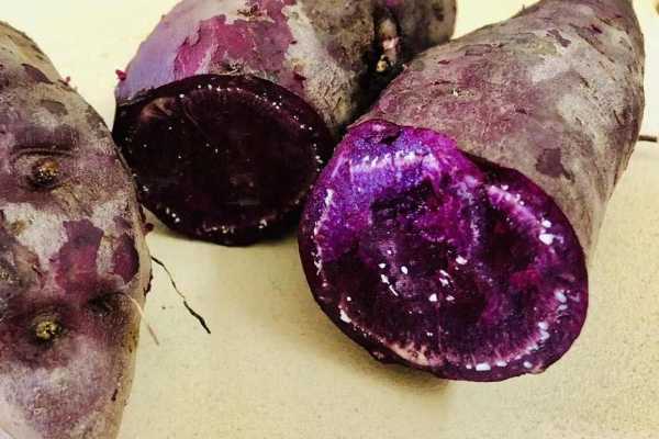 孕妇可以吃紫薯吗