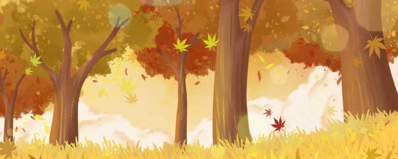 秋天树叶为什么会变黄 秋冬季节叶片变黄的原因