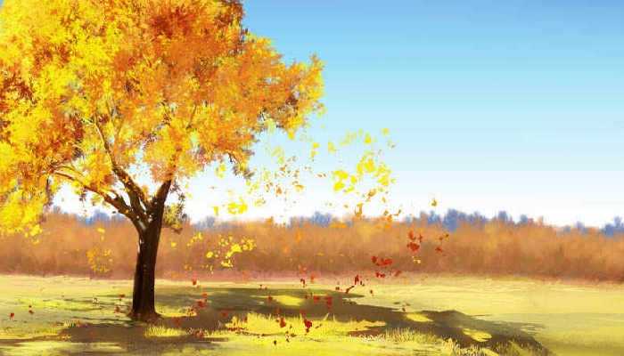 关于二十四节气立秋的诗句 描写立秋的经典诗句