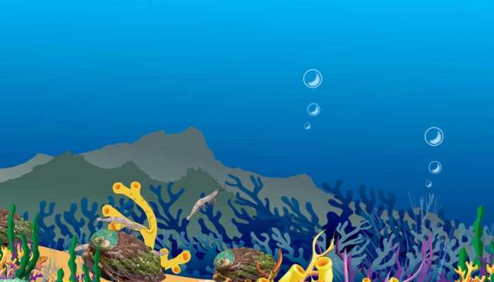 厄尔尼诺现象致海水升温 哥斯达黎加大量珊瑚出现白化