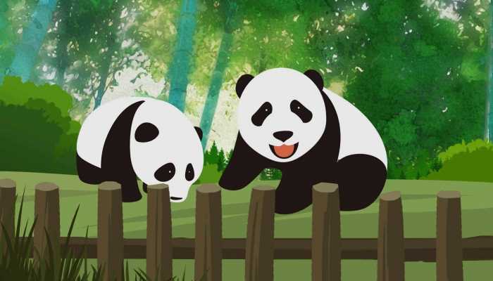 熊猫刻板行为是什么 熊猫刻板到最后会死吗