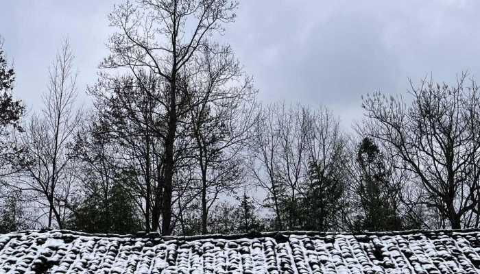 本周日13时前后 天津今冬初雪正式报到