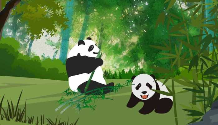 大熊猫名字由来 熊猫为什么叫做熊猫