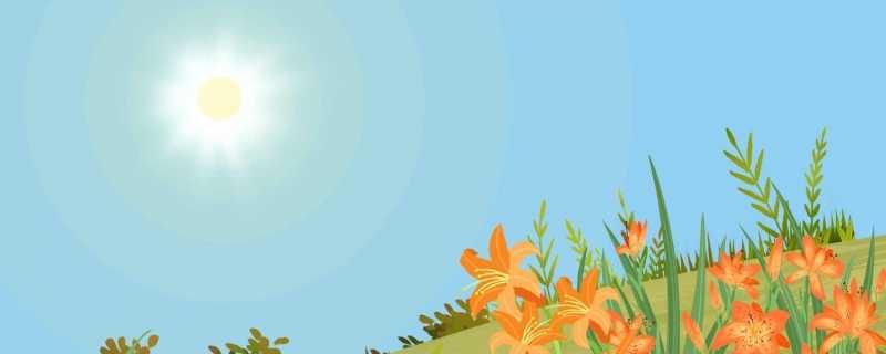日食可能会发生在农历什么时候 日食可能会发生在农历哪天
