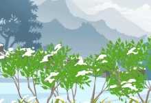 西藏甘肃等局地有较强降雪 北方多地将迎大风降温天气
