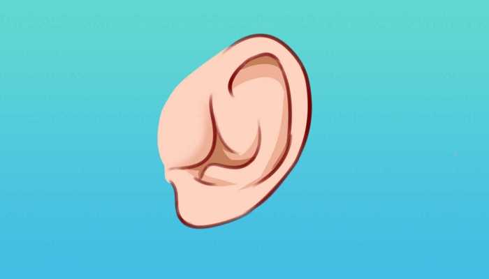 鼻子禁忌是什么 耳朵禁忌有哪些