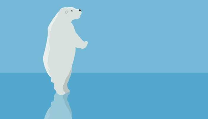 海冰减少将导致北极熊处境更危险吗 海冰减少给北冰洋带来的危害