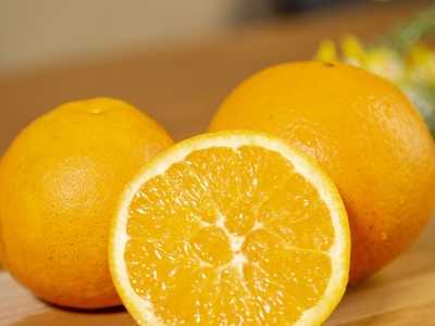 橙子的功效与作用禁忌 橙子可以增强免疫力