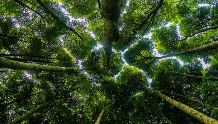 处暑谚语品味 处暑相关的谚语