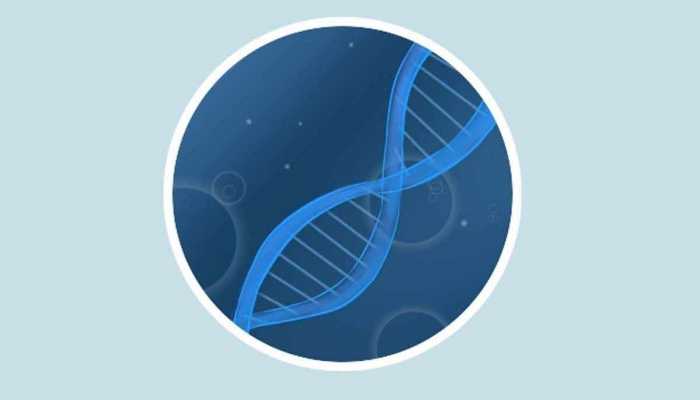 转基因和非转基因的区别 转基因和非转基因的利与弊