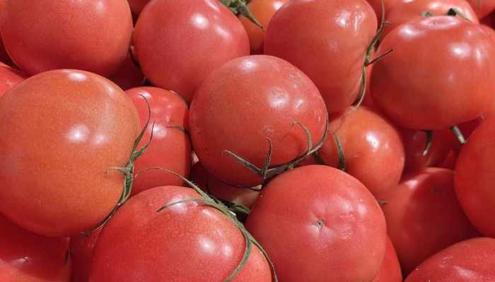 每天吃1个西红柿能美白吗 经常吃番茄能白吗