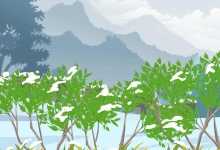 15日至16日西部地区有雨雪天气 北方局地降温可达10℃