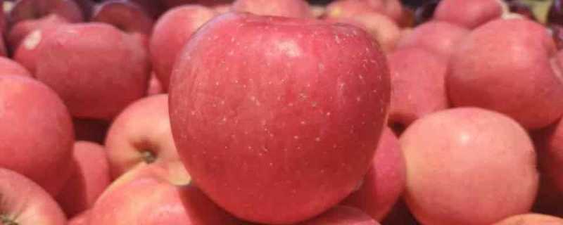 苹果打蜡吃了会危害健康吗 苹果打蜡是为什么