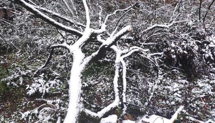 吉林今天雨雪天气持续 吉林长春等地部分地区将有大暴雪