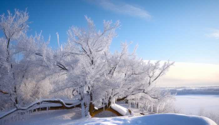 黑龙江局地将降大暴雪或破历史极值 哈尔滨地区将现冻雨
