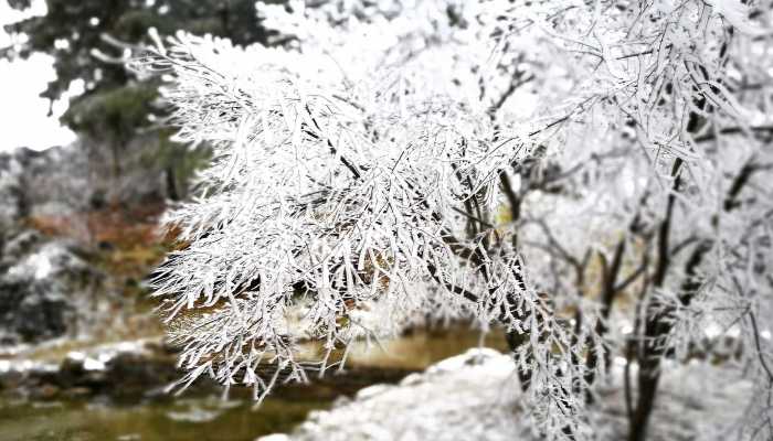 吉林昨天下雪今天下冰雹 明起全省将经历换季式降温