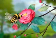 蜜蜂靠什么采蜜 蜜蜂为什么要采蜜
