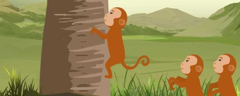 2004年属猴人2024年运势及运程
