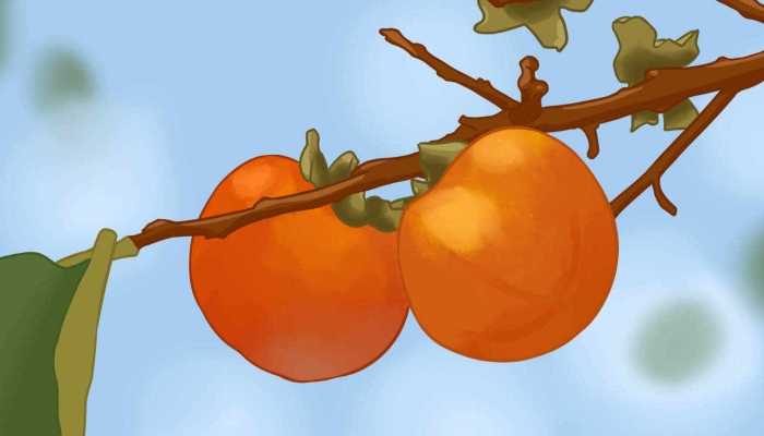 铁杆之称的水果 哪种水果有“铁杆庄稼”之称
