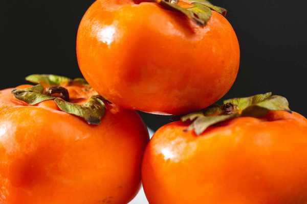 减肥能吃柿子吗