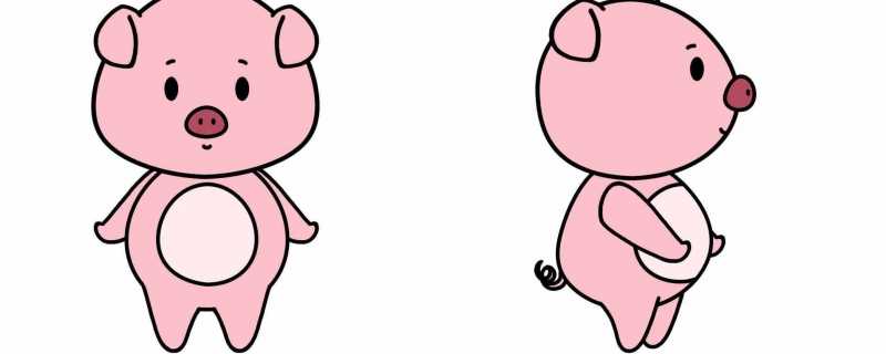 属猪2024年虚岁多大 虚岁是每到一个春节增加一岁
