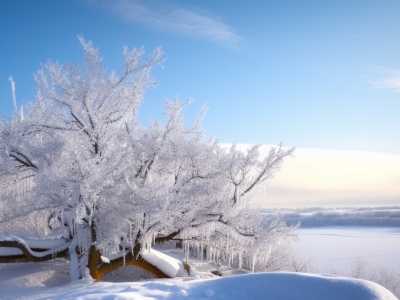 今天新疆大部晴朗天气唱主调 明后两天将有大暴雪来袭